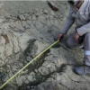 A huge dinosaur footprint has been found in China. (YouTube)