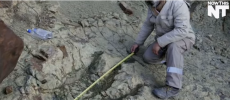 A huge dinosaur footprint has been found in China. (YouTube)