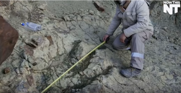 A huge dinosaur footprint has been found in China. (YouTube)