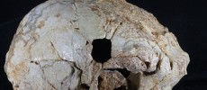 This cranium belongs to a Neanderthal from more than 400,000 years ago in Portugal.