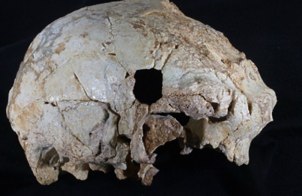 This cranium belongs to a Neanderthal from more than 400,000 years ago in Portugal.