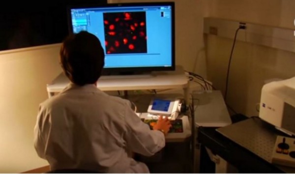 An expert scans test samples displayed on the computer screen.
