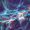 The CRISPR-Cas9 method for genome editing – a powerful new technology with many applications in biomedical research, including the potential to treat human genetic disease.