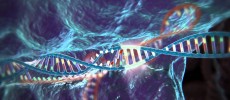 The CRISPR-Cas9 method for genome editing – a powerful new technology with many applications in biomedical research, including the potential to treat human genetic disease.