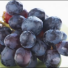 The resveratrol is a phytoalexin, stilbenoid, and a natural phenol found in the skin of grapes, raspberries, blueberries, and peanuts.
