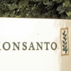 Monsanto is still selling the herbicide as Roundup around the world. (YouTube)