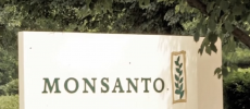 Monsanto is still selling the herbicide as Roundup around the world. (YouTube)