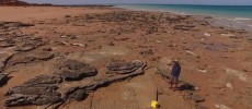 Lead author Dr Steve Salisbury of The University of Queensland School of Biological Sciences discusses the diversity of tracks around Walmadany in Western Australia.