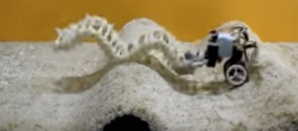 A  team from the University of the Negev has invented a robot called SAW (single actuator wave-like robot) that can travel all the way into the small intestine in a wave-like motion. (YouTube)