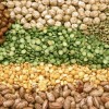 Individuals with a higher consumption of legumes had a 35 percent lower risk of developing Type 2 diabetes.