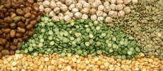 Individuals with a higher consumption of legumes had a 35 percent lower risk of developing Type 2 diabetes.