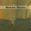 Malena will request Molduga guts from Link and will give him a task to take down the beast roaming the Gerudo Desert settled all throughout the town.