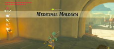 Malena will request Molduga guts from Link and will give him a task to take down the beast roaming the Gerudo Desert settled all throughout the town.