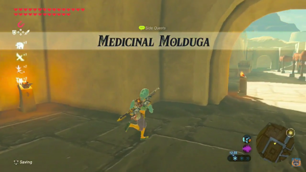 Malena will request Molduga guts from Link and will give him a task to take down the beast roaming the Gerudo Desert settled all throughout the town.