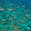 The Great Barrier Reef is located in the northeastern coast of Australia and is also considered as a UNESCO World Heritage site. (Ed Roberts/ARC Coral Reef Studies)