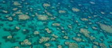 The Great Barrier Reef is located in the northeastern coast of Australia and is also considered as a UNESCO World Heritage site. (Ed Roberts/ARC Coral Reef Studies)