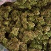 Medical Marijuana