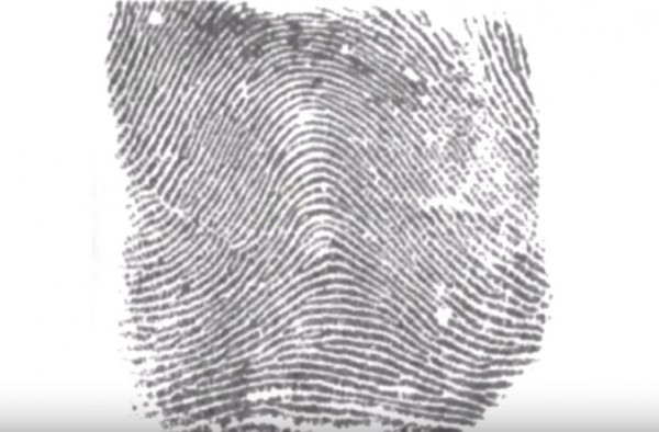 A human fingerprint is displayed for identification. 