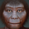 The Homo floresiensis or 