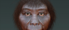The Homo floresiensis or 