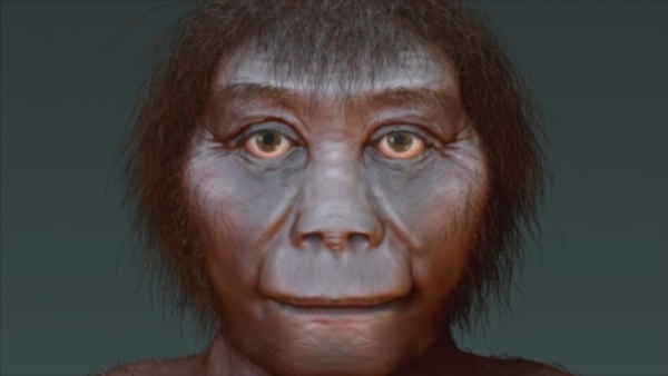 The Homo floresiensis or "the hobbits" were the sister species of Homo habilis (YouTube)