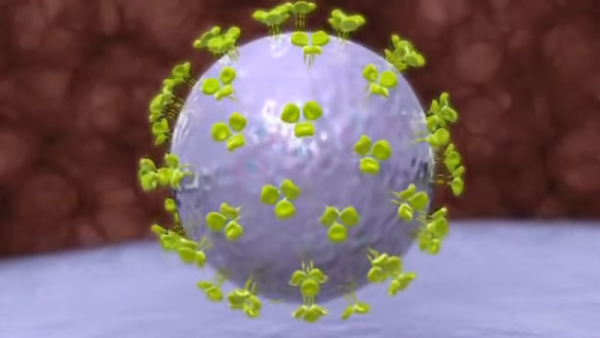 The new findings indicate a significant step in developing a permanent treatment for HIV infection. (YouTube)