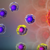 Russian researchers have found a potential cure for HIV. (YouTube)