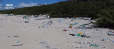 Henderson Island is polluted with approximately 37.7 million pieces of plastic. (YouTube)