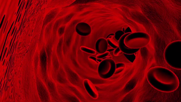 Two new recent studies took a step closer in the development of "limitless artificial blood supply." (YouTube)