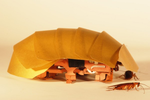 The CRAM robot, inspired by cockroaches, can crawl even when squashed to half its size. 
