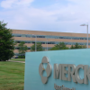 Germany's Merck has teamed up with Israel's illusive network to use the latter's 