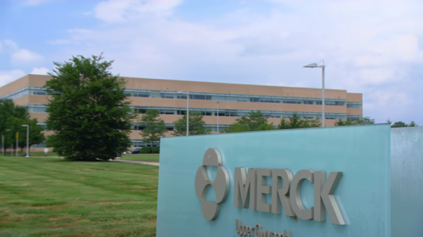 Germany's Merck has teamed up with Israel's illusive network to use the latter's "Deceptive Everywhere" cybersecurity technology. (YouTube)