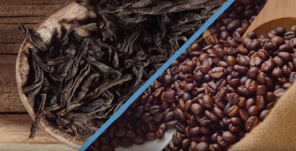 Coffee beans and dried tea leaves are being compared with each other. 