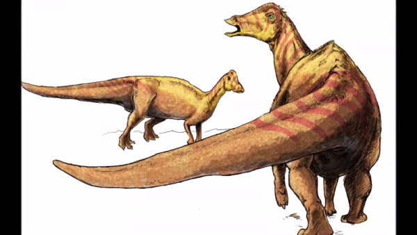 Nipponosaurus is an herbivorous dinosaur during the Late Cretaceous Period. (YouTube)