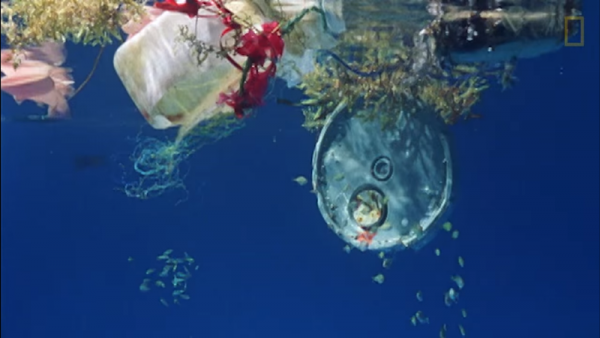 Marine researchers discovered a new type of trash called "microplastics" in which they feared to be the next big threat in the ocean. (YouTube)