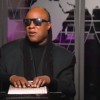 Stevie Wonder, is an American musician, who suffered a visual impairment when he was still young. 