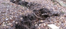 The Menominee Crack opened up in October 2010 and now researchers from Michigan Tech have determined it is a geologic pop-up structure.