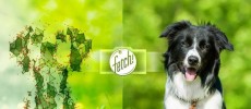 Microsoft Fetch! App