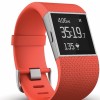 Fitbit Fitness Tracker 