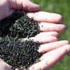 Rubber Crumb Pellets