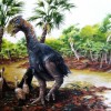 A prehistoric giant flightless bird once thrived in the Arctic Circle more than 50 million years ago.