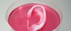 3D Printed Ear