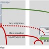 Scenario of interbreeding between modern humans and Neanderthals: Neanderthal DNA in present-day humans outside Africa originates from interbreeding that occurred 47,000 – 65,000 years ago (green arrow). Modern human DNA in Neanderthals is likely a conseq