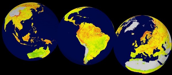  Global map of the Vegetation Sensitivity Index (VSI), a new indicator of vegetation sensitivity to climate variability using satellite data. 