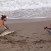A Florida man pulls up a shark from the water, drags it down on the sand for a selfie in Palm Beach.