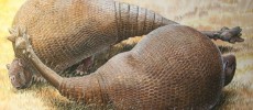 Gylptodonts are ancient armadillos that were the size of a small car.