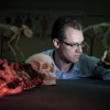 Alistair Evans examines a range of hominin skull casts that were included in the study.