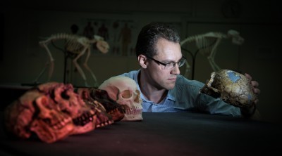 Alistair Evans examines a range of hominin skull casts that were included in the study.