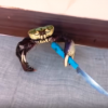 Crab-holding Knife Video
