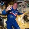 When he lands on Earth Tuesday, March 2, NASA astronaut Scott Kelly will have spent a total of 340 days in space, double the length of typical mission, so researchers can better understand how the human body reacts and adapts to long-duration spaceflight.